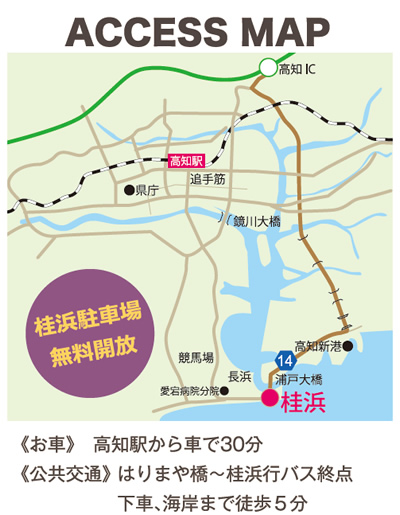 桂浜への地図